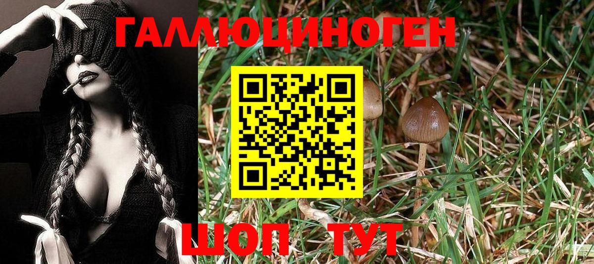 Иркутск  Псилоцибиновые грибы прущие грибы  Псилоцибиновые грибы MAGIC MUSHROOMS  Вход с VPN 